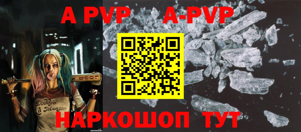 A PVP СК КРИС Кызыл
