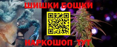спайс Кингисепп