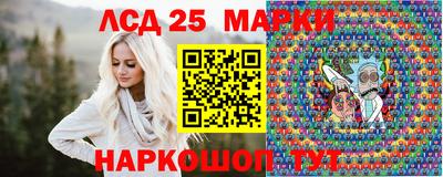 спайс Кингисепп