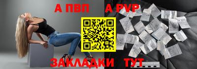 спайс Кингисепп