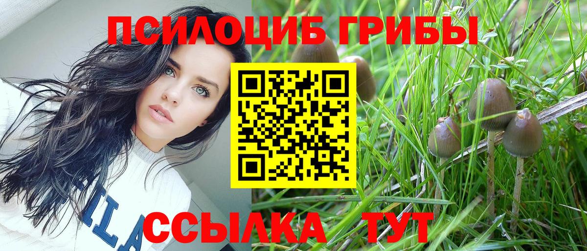 Галлюциногенные грибы Cubensis  Вход с VPN  Кызыл 